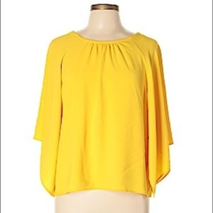 Zara XS Sleeve Blouse
